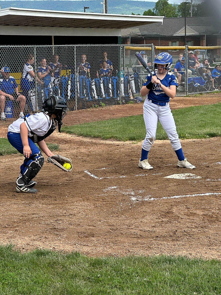 Catcher catches the ball.