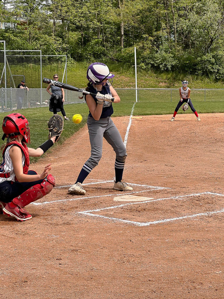 Catcher about to catch ball that just passed batter.